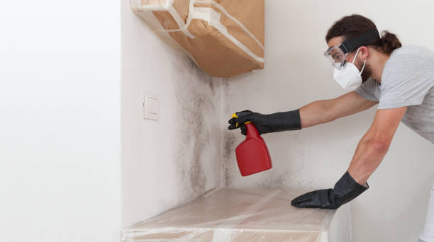 Professional Crawl Space Mold Removal technician working in Kirkland, IL