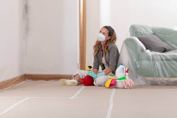 Reliable Crawl Space Mold Removal contractor in Kirkland, IL by WQB Mold Removal